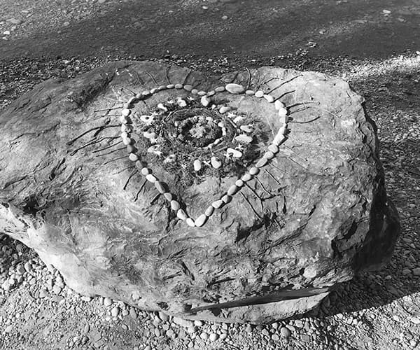 Ein Herz aus Blütenblättern auf einem grossen Stein